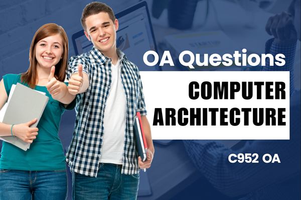 WGU Data-Driven Decision Making OA practice questions